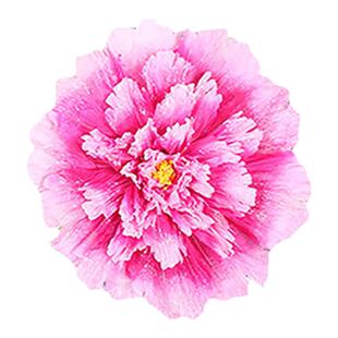 阳光下的花朵舞蹈道具六一儿童节开场舞舞台表演专用手拿花牡丹花