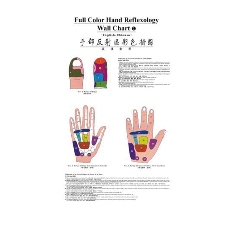 [11-11促销 外文书] 手部反射区彩色挂图（英汉对照）9787117080101