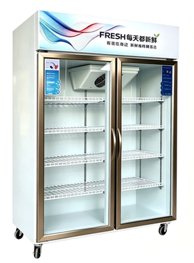 冷藏柜展示柜保鲜柜立式冰柜