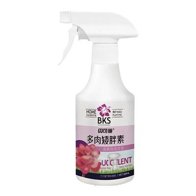 贝可施多肉矮胖素多肉养护必备