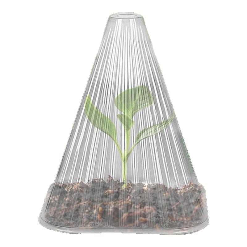 育苗保护罩透明钟罩可重复使用