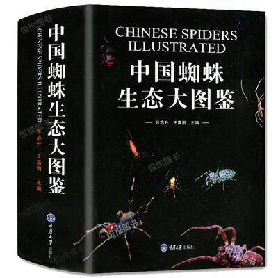 正版现货】中国昆虫生态大图鉴 蜘蛛图鉴蜘蛛学蜘蛛生态识别 蜘蛛知识档案书动物百科 71科种类达1139种蜘蛛图片昆虫科普读物书籍