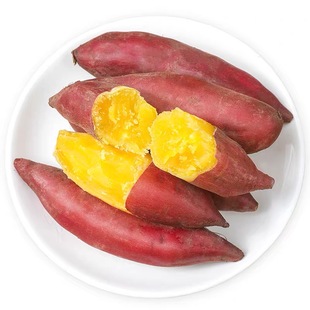 浙江天目山小香薯红薯新鲜粉糯香甜地瓜临安小番薯板栗薯黄心