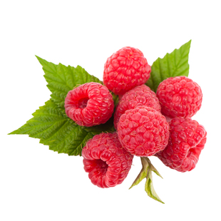 树莓苗盆栽果树覆盆子树莓果苗南北方庭院地栽种植带土红黄黑树莓