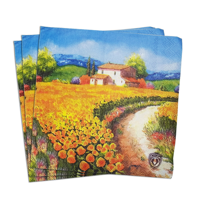 经典印花彩色创意个性小包纸巾