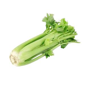 京东顺丰新鲜西芹大棵半叶西洋芹菜绿色蔬菜榨汁嫩心青菜香芹包邮
