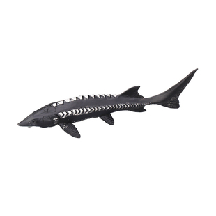 童德中华鲟模型仿真海洋动物玩具底栖鱼类鲟鱼鳇鱼儿童认知益智