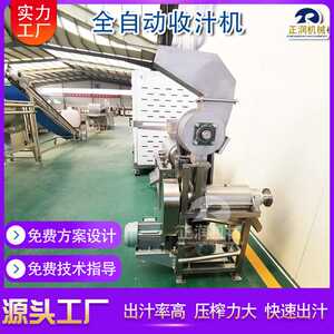 供应生姜榨汁机商用蔬菜水果破碎榨汁机工业用雪花梨榨汁流水线