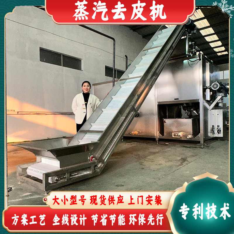 土豆去皮机 蒸汽剥皮机   8吨马铃薯削皮器 源头货源鼎大