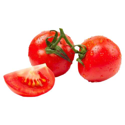 荷兰凯撒2008番茄种子 硬果大红西红柿种籽 高产大田大棚蔬菜孑子