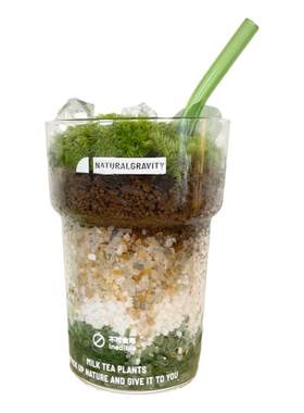抹茶拿铁DIY创意苔藓创意礼物