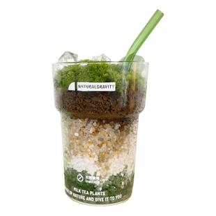 自然引力 抹茶拿铁 创意微观绿植办公桌面植物苔藓微景观DIY盆栽