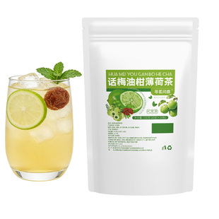 同款话梅油柑薄荷茶青柠檬独立小包冷泡夏日茶包果茶袋装水果饮品