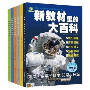 新教材里的大百科2026年新版同步教材一二三四五六年级下册语文数学科学课文知识拓展百科常识小学生阅读书籍同步课本里的百科全书
