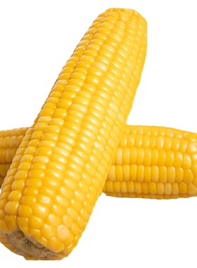 包小苞玲珑黄糯玉米1.2公斤5根手提袋装东北黄糯玉米非转基因真空