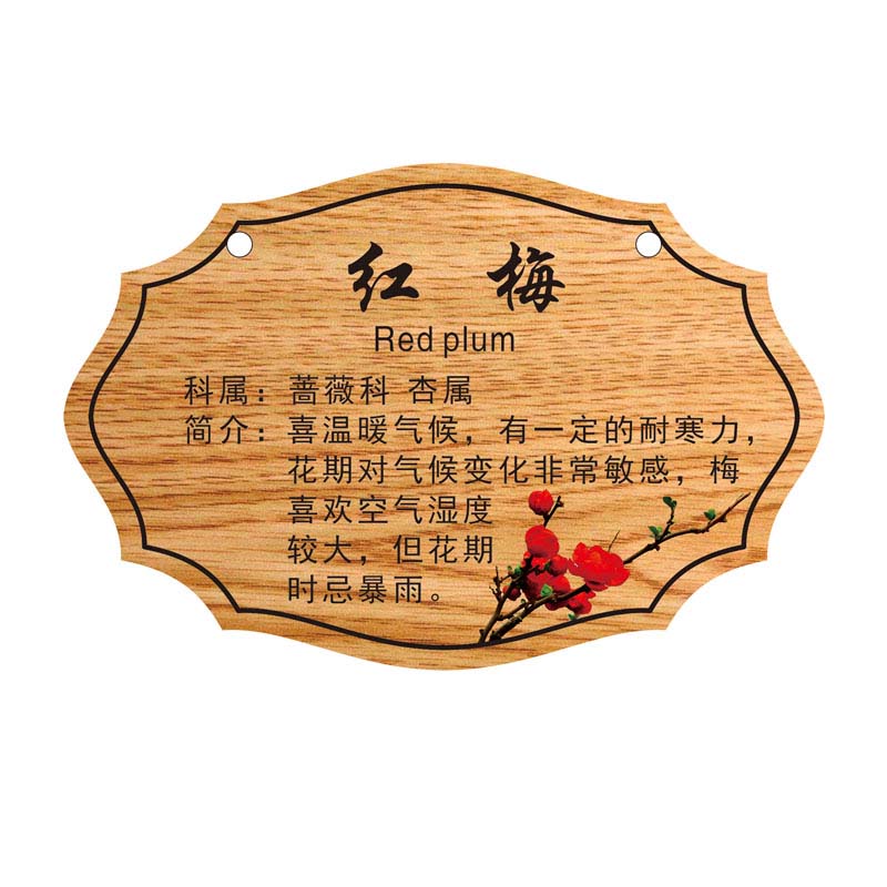 花草牌亚克力树牌植物绿化标识志牌树木介绍挂牌木广告牌定制做