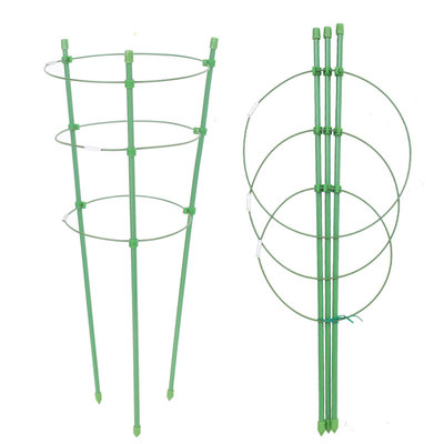 爬藤阳台月季铁线莲支撑杆攀爬架