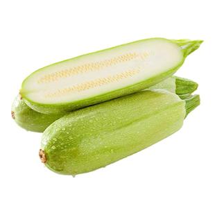 燎原绿色西葫芦 角瓜现摘新鲜绿色食品孕妇宝宝健康辅食2斤包邮
