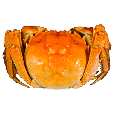 认准三水家便宜吃好蟹不吃亏！