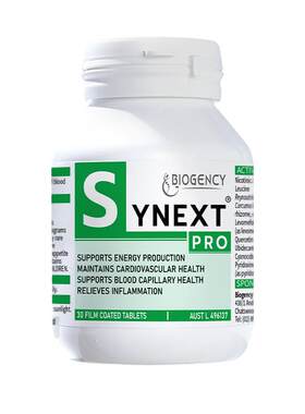 Synext全新一代小绿Pro专业版