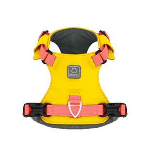 BeauGo猫胸背带猫牵引绳猫咪胸背猫背带防水免洗不沾毛猫咪牵引绳