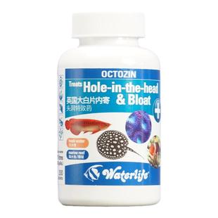 正品英国大白片鱼用内外寄海水鱼肠炎去菌头洞腹水消毒剂水族珊瑚