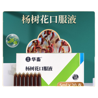 华畜兽药杨树花口服液兽用拉稀药