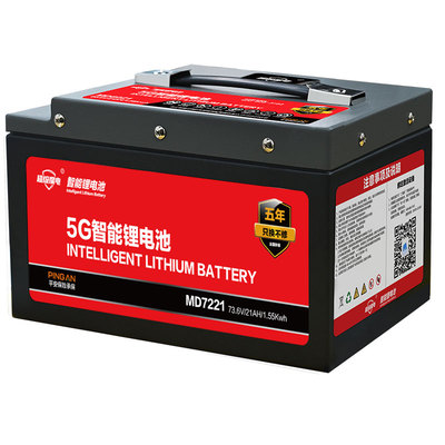 60V72V二三轮电动车魔酸铁锂电池