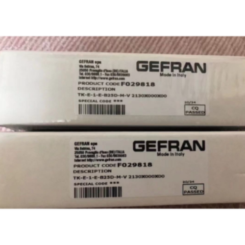 议价杰佛伦GEFRAN温度传感器TK-E-1-E-B25D-M-V 2130X000X00 F029