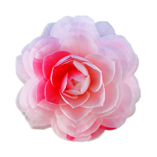 白底乔伊山茶花盆栽苗一树多色绿植名贵花卉室内盆栽阳台庭院好养