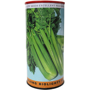 美国西芹种子种籽芹菜苗籽种菜籽苗子芹莱苗蔬菜孑秧芹菜根苗秧苗