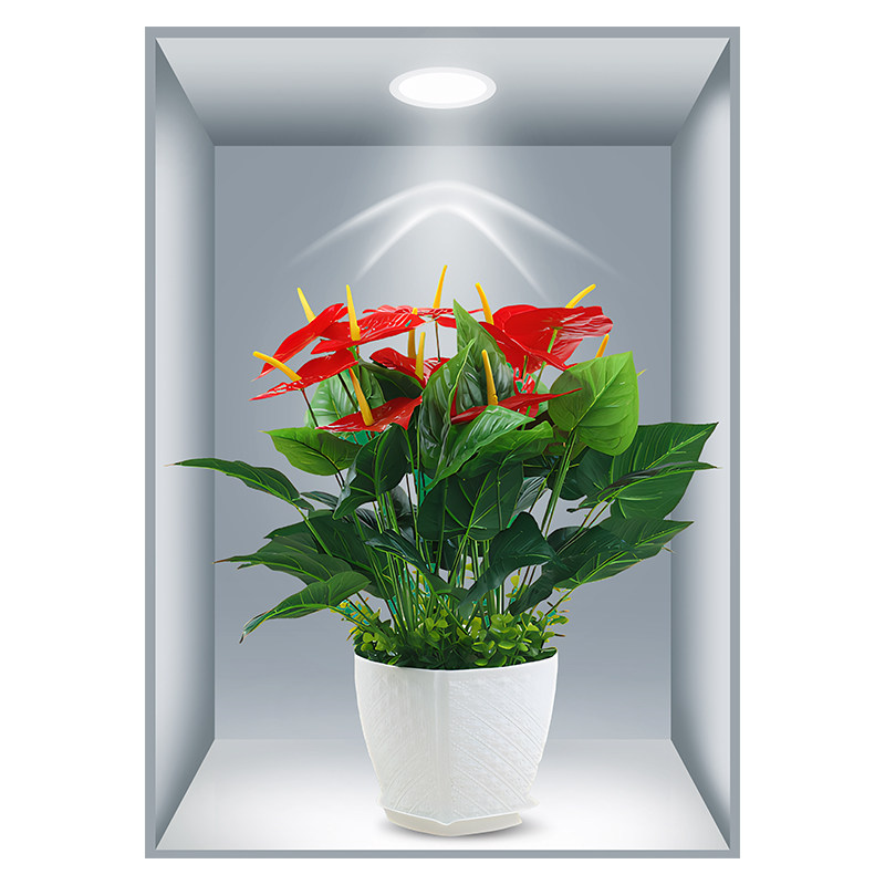 植物花卉自粘3D立体墙贴遮丑