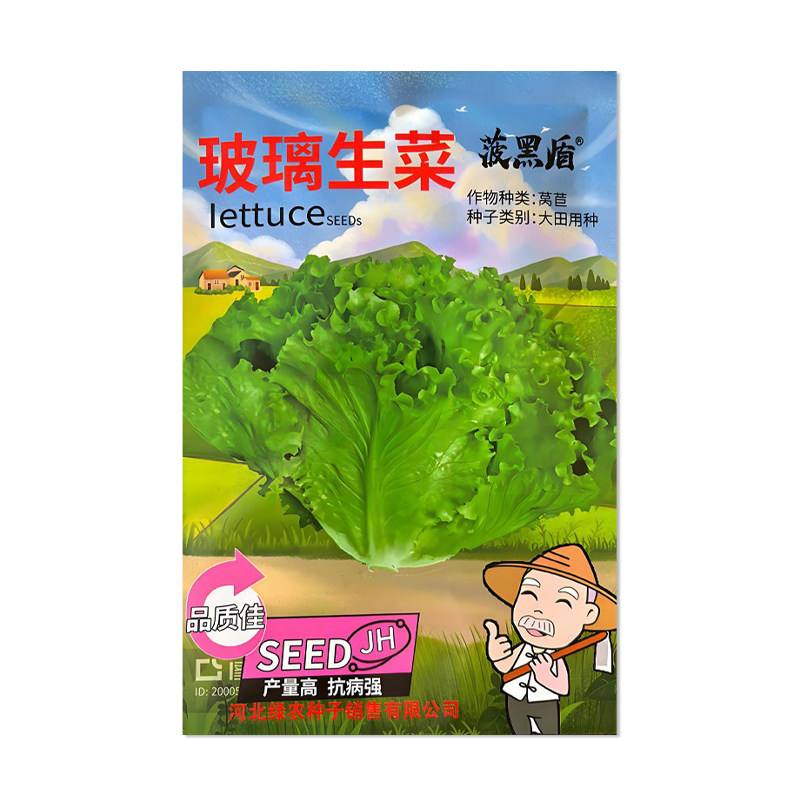 冀华农玻璃生菜种子蔬菜孑