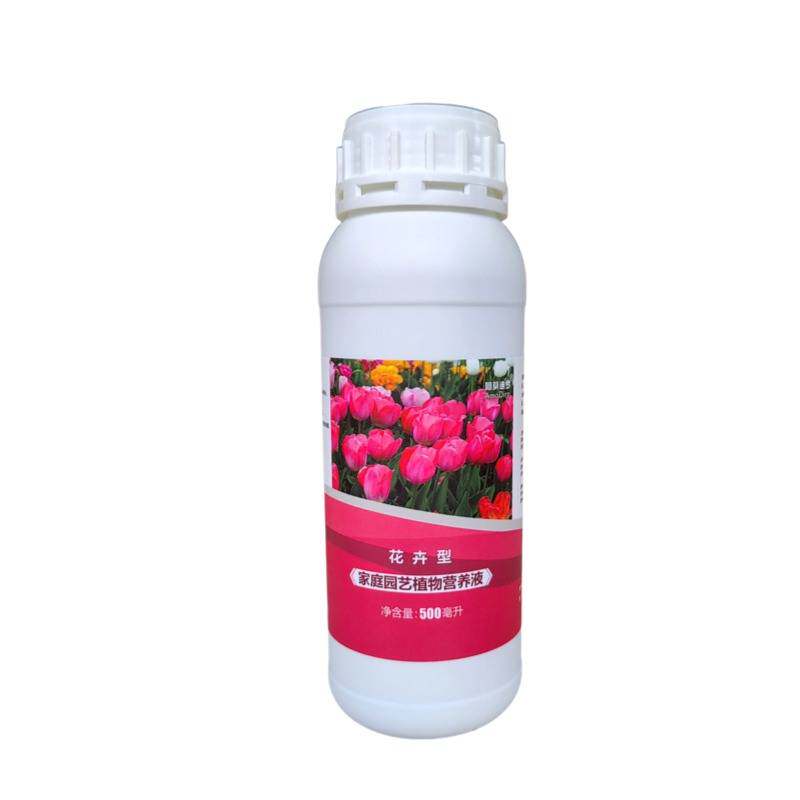 露微花盆栽琉苇草浓缩营养液庭院阳台多色多肉植物水溶专用花肥料