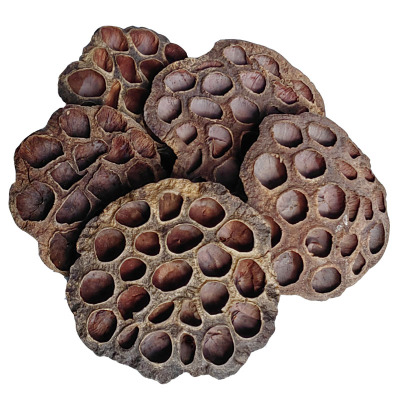 莲蓬干中药材孕妇莲蓬壳无硫莲房食用莲蓬头莲子壳煮水去胎毒入药