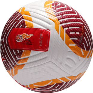 天天正品耐克2024中超CSL官方比赛用球热粘合5号足球FN4328-100