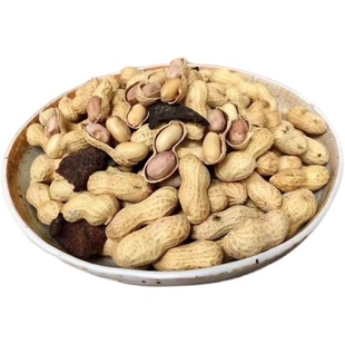 陈皮花生江门新会特产网红零食咸干水煮晒干花生即食带壳下酒500g