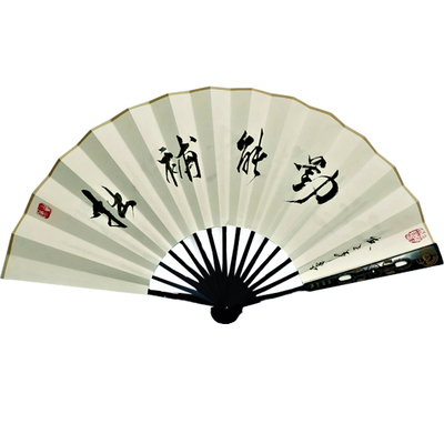 搞笑题字书法定制古风折扇