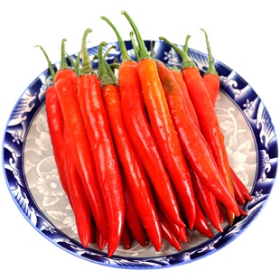 新鲜现摘大红辣椒美人椒微辣海椒杭椒泡椒尖椒椒酱剁椒二荆条线