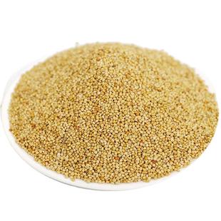 鹦鹉饲料鸟粮新黄谷子带壳小米虎皮鹦鹉饲料玄凤牡丹专用食物粮食