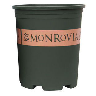 3加仑花盆旗舰店法师专用花盆五加仑花盆深高盆防烂根青山盆控根2