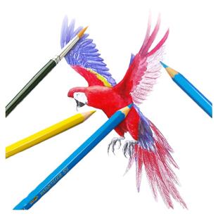 德国辉柏嘉12支水溶彩铅单色油性彩色铅笔红辉专业手绘人物72色单买单只补色单色白红色399黑色499美术用品