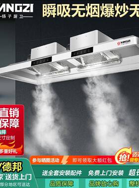 扬子油烟机家用商用餐饮厨房专用排烟罩大吸力加厚不锈钢抽油烟机