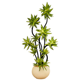 百合竹客厅绿植大型盆栽金心轻奢高级感室内旺宅好养落地造型植物