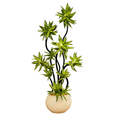 百合竹客厅大盆栽高级感好养绿植