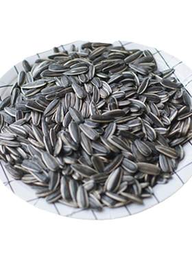 生大瓜子仓鼠魔王金花松鼠主粮食物零食吃的小宠用品磨牙配件礼盒