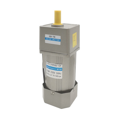 交流直流电机马达二级减速齿轮箱