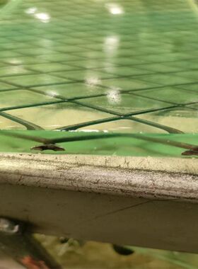 聚氨酯钢丝网包胶板 粮仓耐磨板 透明加钢丝的聚氨酯PU板