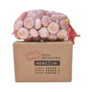 干大蒜头5斤10斤杞县大蒜批发特大新干蒜 蒜头紫皮山东白皮2斤3斤