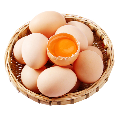 散养土鸡蛋山林跑地鸡生态营养